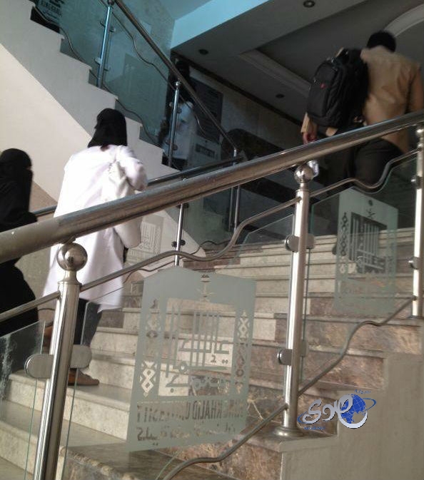 جابر القحطاني: الكيوي يحتوي على كمية كبيرة من فيتامين ج ومادة الكلوروفيل