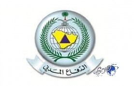 نملة عمرها 40 مليون سنة تكشف ملامح الحياة القديمة