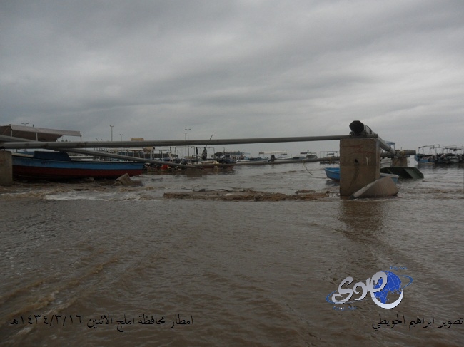 اليابان تبدأ أول تجربة بشرية للقاح مضاد لفيروس نيباه القاتل