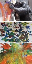 شمبانزي يرسم لوحات فنية تباع الواحدة مقابل 150 دولارا