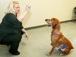 رين يرفض عرض الهلال الأول لضم مهاجمه محمد قادر ميتي