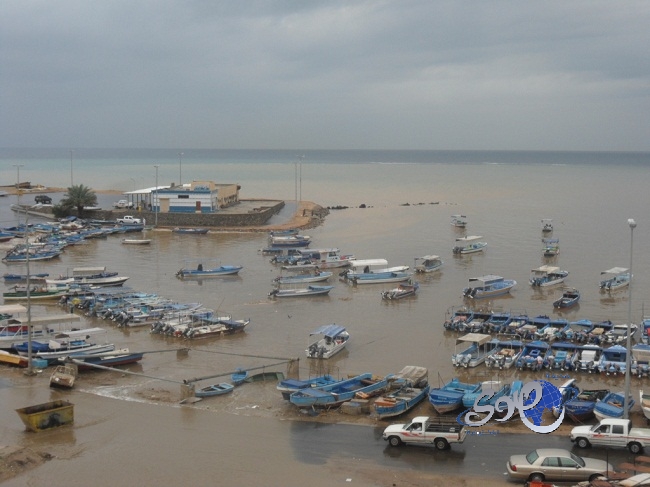 إيقاف ظهور هاني مهنا وإحالته لاتحاد النقابات الفنية