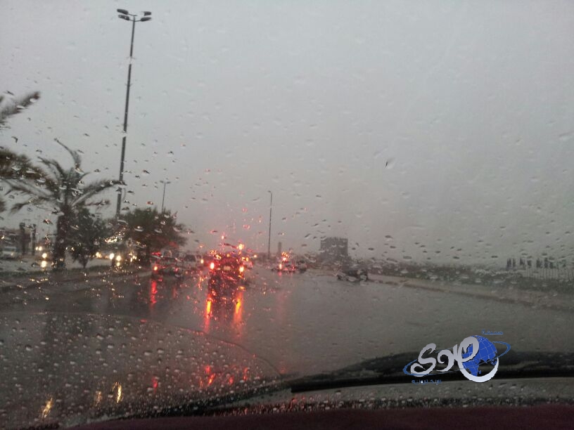 وليد معاذ: حسم قضية جيسوس يتوقف على الترجمة ودقة الوقائع .. فيديو