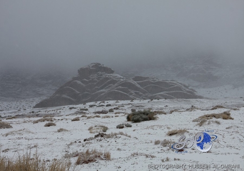 خبراء: الشوكولاتة الداكنة أكثر فائدة صحيًا من شوكولاتة الحليب