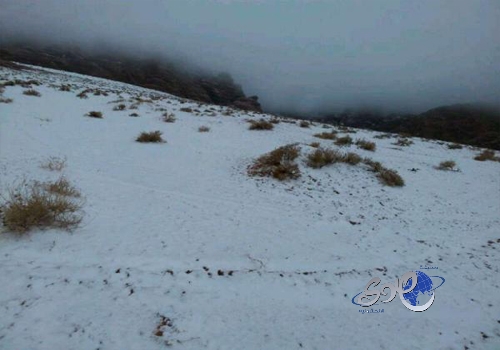 لاعب الرياض: تعادلنا مع الهلال بطعم الفوز وتألق لاعبيه رغم النقص العددي .. فيديو