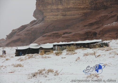 10 مشروبات مفيدة للكلى .. فيديو
