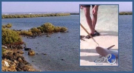 هوشة بين نقاد برنامج أكشن مع وليد حول أسعار صفقات لاعبي الهلال .. فيديو