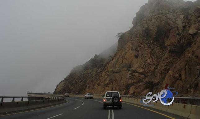 إنقاذ مواطن بعد توقف قلبه في حادث سير بعقبة ضلع