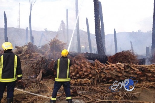 حرائق جديدة مجهولة في مزارع بيشة