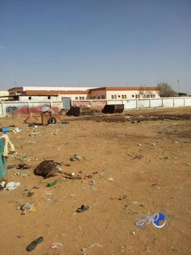 النصر يسعى لضم المدير الرياضي السابق لنابولي