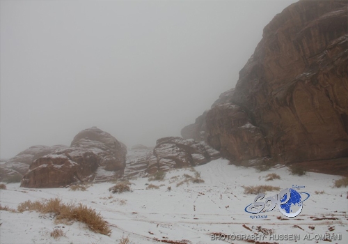 طارق ذياب :لاعبو الهلال لم يظهروا بحضورهم المعتاد أمام الرياض..فيديو