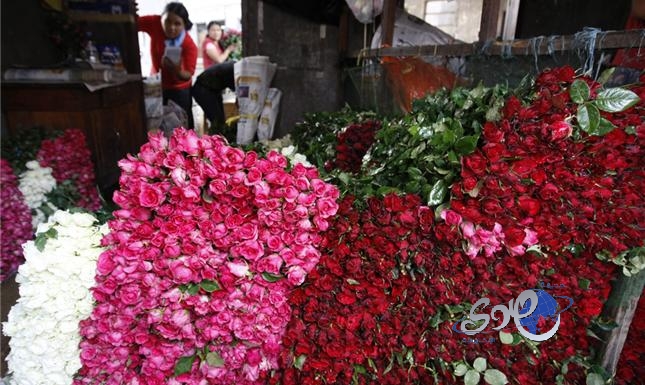 محلات تتوقف عن بيع الأحمر اليوم.. والباعة: لا توجيهات بالمنع