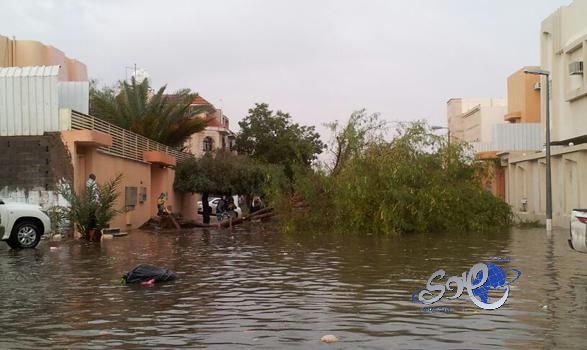 سانتوس يقترب من تجديد عقد نيمار