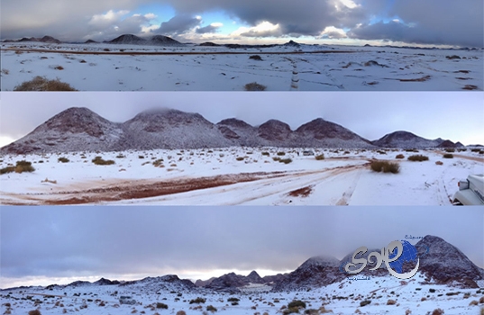 العلا يعلن التعاقد مع عبد الفتاح آدم.. فيديو