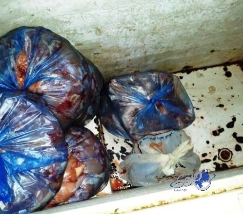 ضبط أطعمة معدة وسط الحشرات والنمل بالمنسك