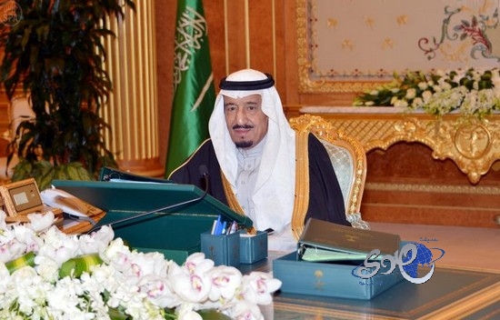 أوزة  تقتحم منزلًا في كندا وتثير الذعر