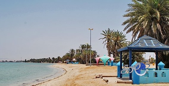 200 مليون ريال للارتقاء بالمدن الساحلية بمنطقة تبوك