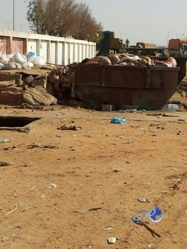 توقف مفاجئ في تجديد عقد ترينكاو وسط رغبة سعودية وأوروبية في ضمه