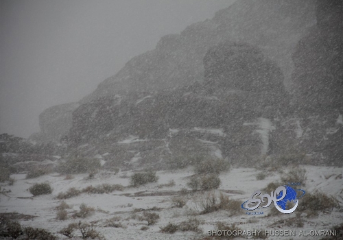 الزلال: تعثر الهلال ” رب ضارة نافعة ” .. فيديو
