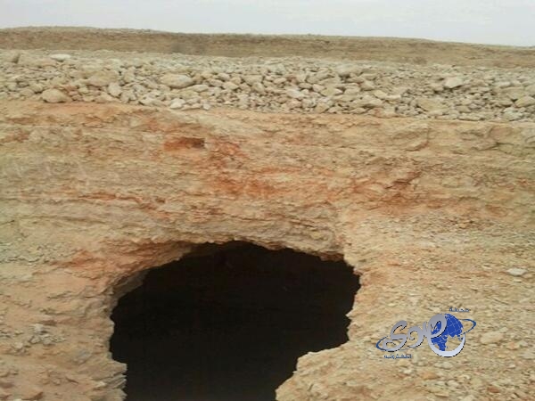 ابنة شيرين عبدالوهاب تشعل مواقع التواصل بـ “لوك” جديد وتغني لوالدتها .. فيديو