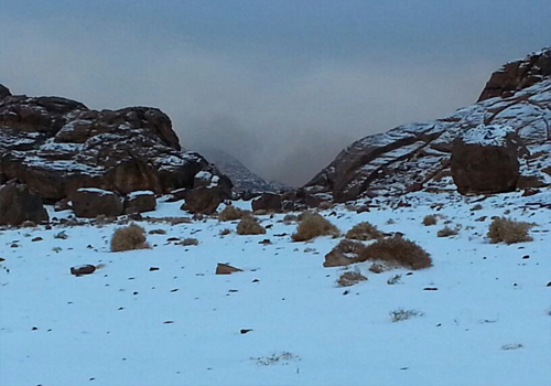 الدعيع: تعادل الهلال مع الرياض درس لإنزاغي واللاعبين.. فيديو