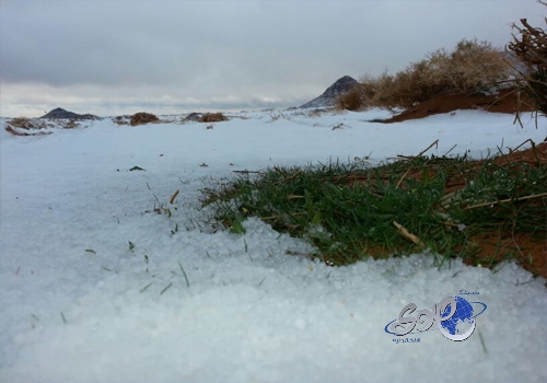 غرق كامب نو بسبب الأمطار أثناء مباراة برشلونة وريال أوفييدو.. فيديو