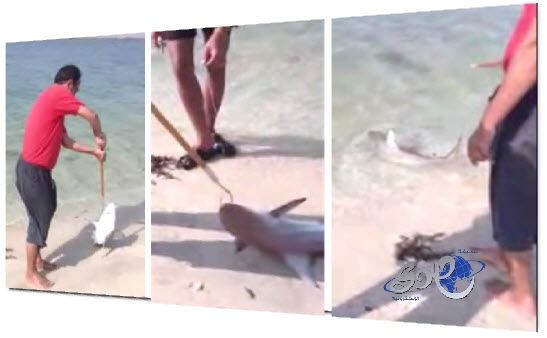 خميس: النصر لن يتأثر كثيرًا بغياب ساديو ماني.. فيديو