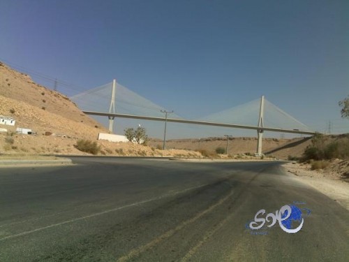 سرقة وسطو على سيارات مواطني ضاحية لبن بالرياض