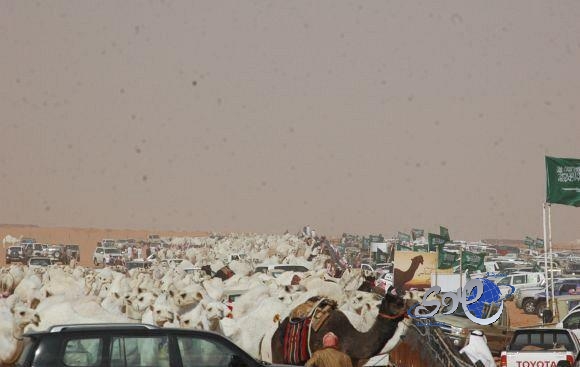 حادث مروري يلغي الاحتفال بــ”خزام الشيباني”