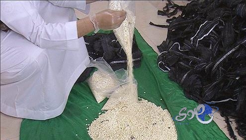 إحباط تهريب 9 آلاف حبة “كبتاجون” للسعودية في حافلة ركاب