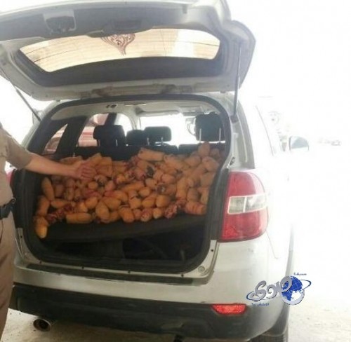 إحباط تهريب 220 حزمة قات بالحبيل بمحافظة رجال ألمع