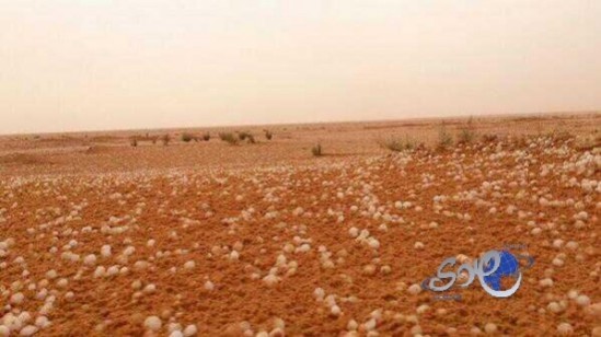 بالصور..أمطار غزيرة على “رماح”