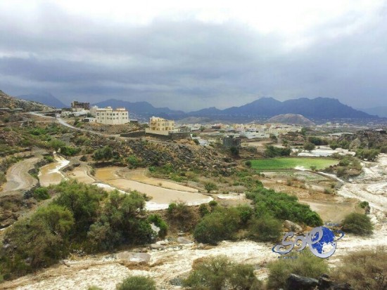 بالفيديو..أمطار على بللسمر وضواحيه وقرى بيحان ببللحمر