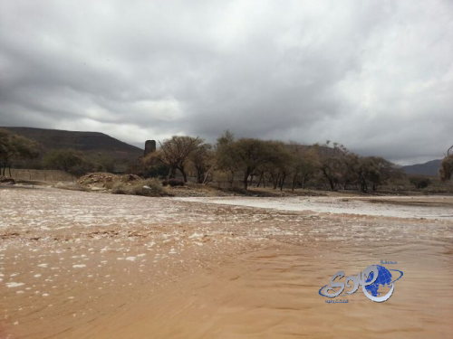 بالصور.. أمطار غزيرة على حرجة عسير