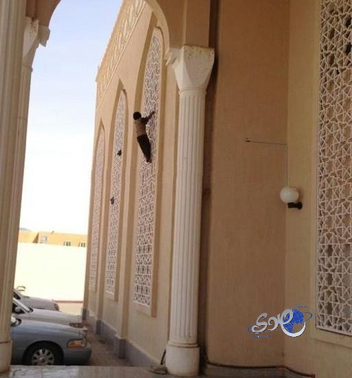 طفل يعرض نفسه للخطر يتسلقه مبنى محكمة تيماء لـ”اصطياد الحمام”
