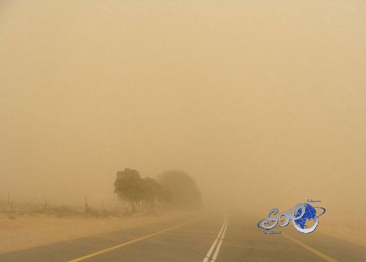 “الزعاق”: موسم “المراويح الصيفية” بدأ اليوم