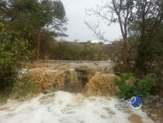 أمطار على محافظة تنومه