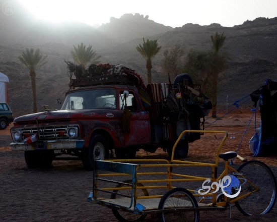 الأصالة والمعاصرة يتمازجان في رالي حائل