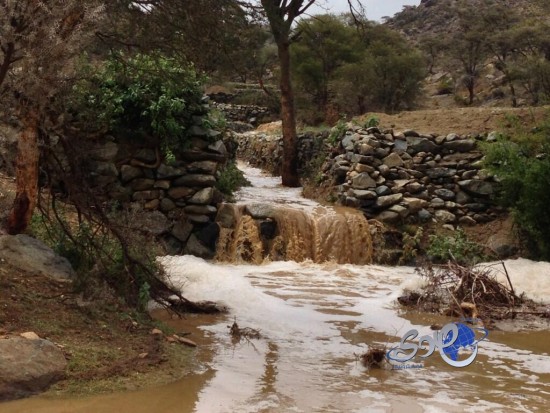 أمطار غزيرة على عدد من محافظات عسير