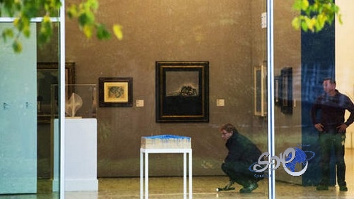 الشرطة الهولندية تعتقل فتاة رومانية يشتبه بضلوعها في سرقة لوحات فنية نادرة
