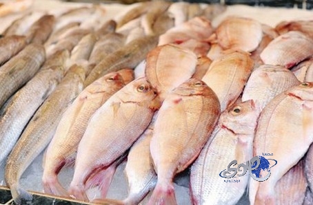 إتلاف 3825 كيلو جراماً من الأسماك الفاسدة في جدة