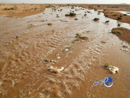 بالصور..هطول أمطار متفرقة على أجزاء من منطقة حائل