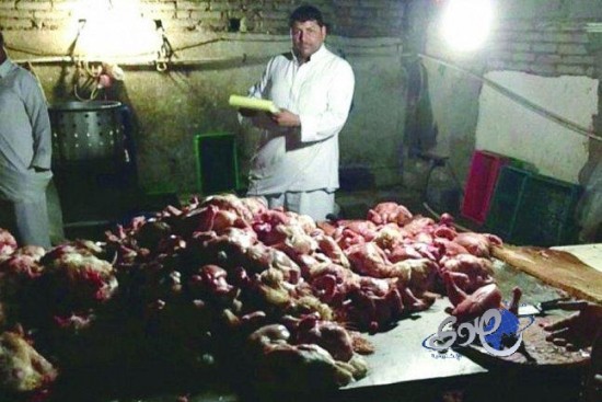 مداهمة مصنع يسوق الدجاج بملصق وهمي في مكة