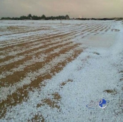 بالصور.. الأفلاج تستقبل أمطاراً غزيرة مصحوبة بالبرد