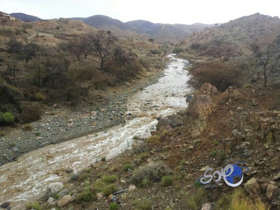 بالصور.. أمطار غزيرة على “الطائف”
