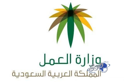 “العمل” تطبق برنامج “نطاقات” على المنشآت الصغيرة.. غداً