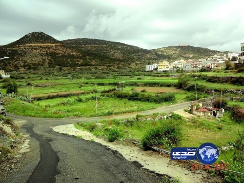 بالصور..هطول أمطار على محافظة النماص