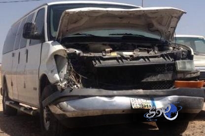 حمار كاد يتسبب في كارثة لطالبات جامعة الطائف