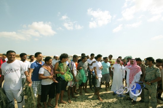 بالصور..صيد سمك الحريد بجزيرة فرسان