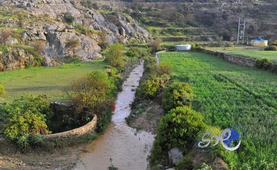هطول  أمطار على النماص